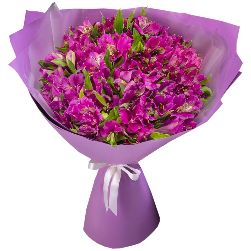 25 фиолетовых альстромерий