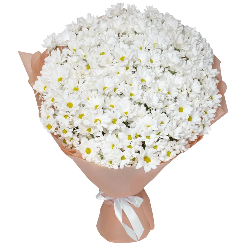 Букет из 35 белых ромашковых хризантем