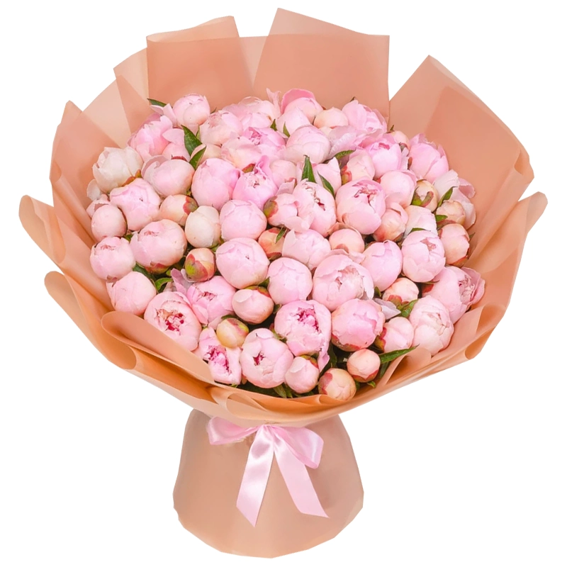 Букет из 51 нежно розового пиона