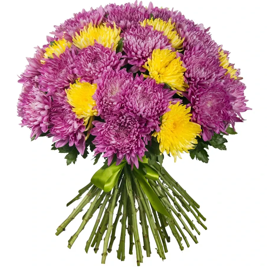 Хризантемы одноголовые светлый микс